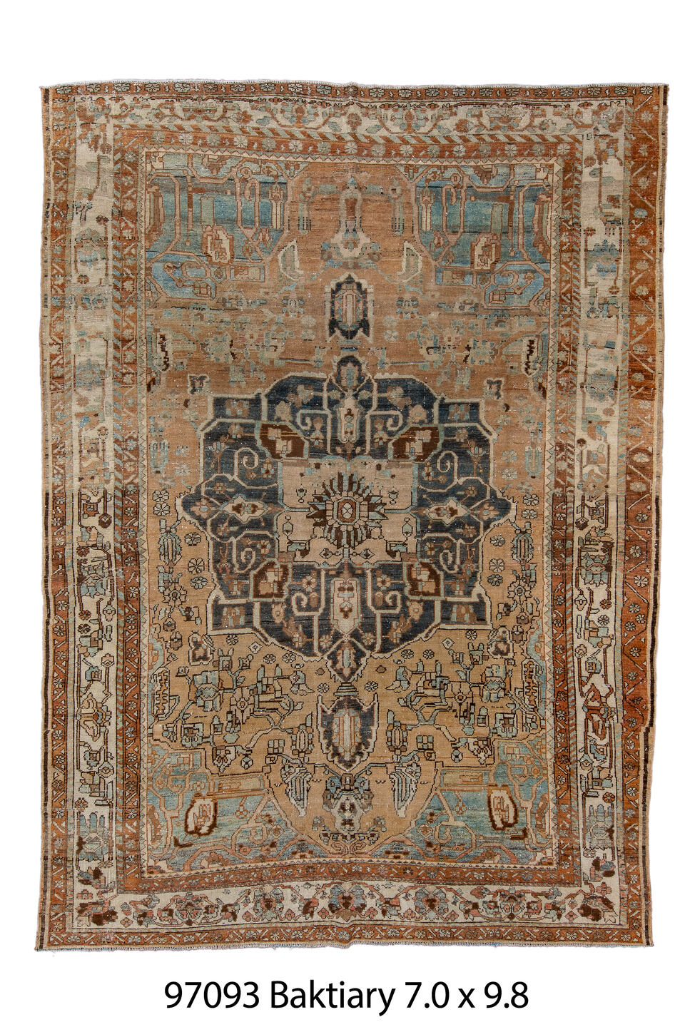 097093 Rug