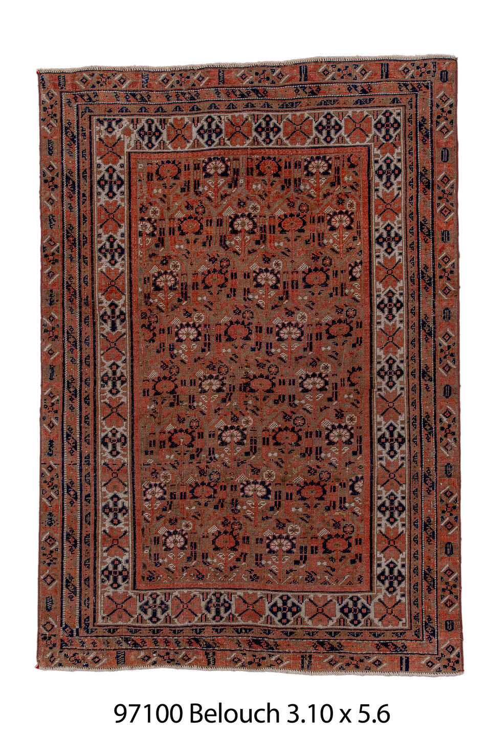 097100 Rug