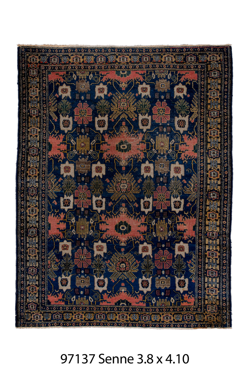 097137 Rug