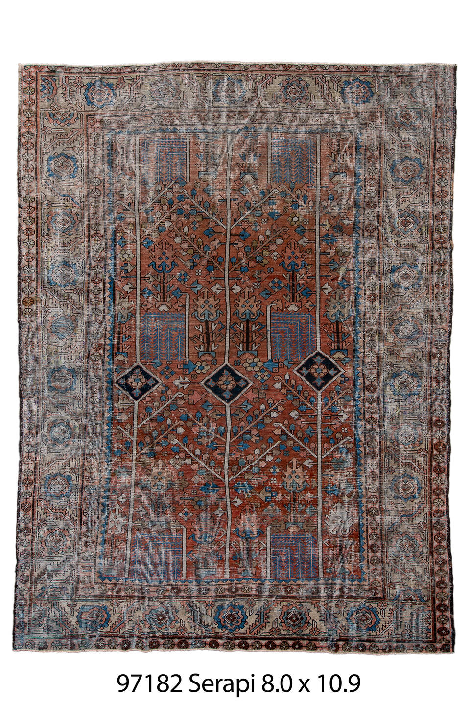 097182 Rug