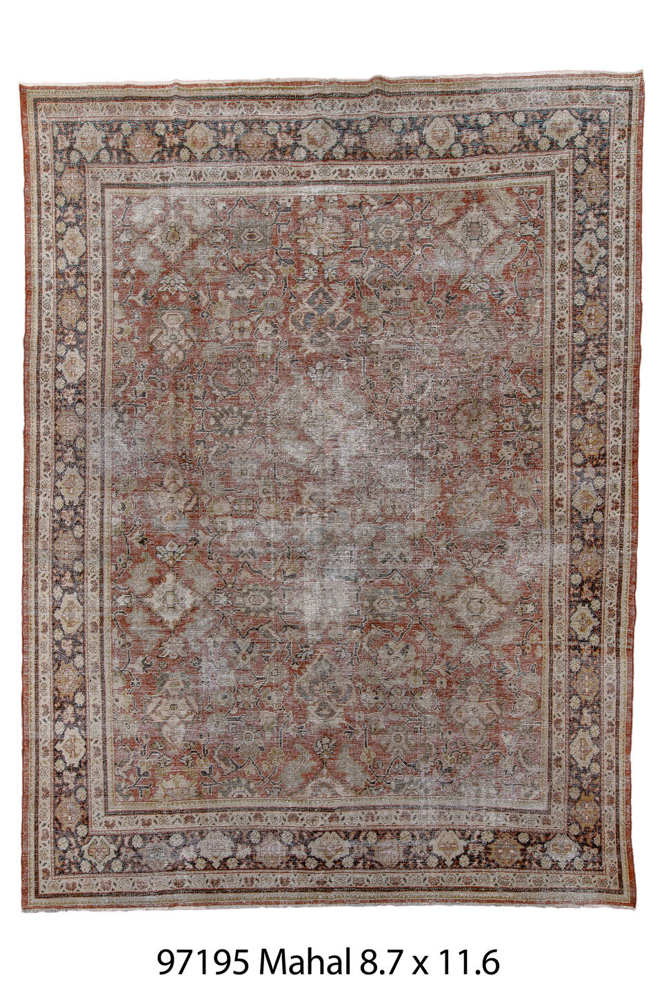 097195 Rug
