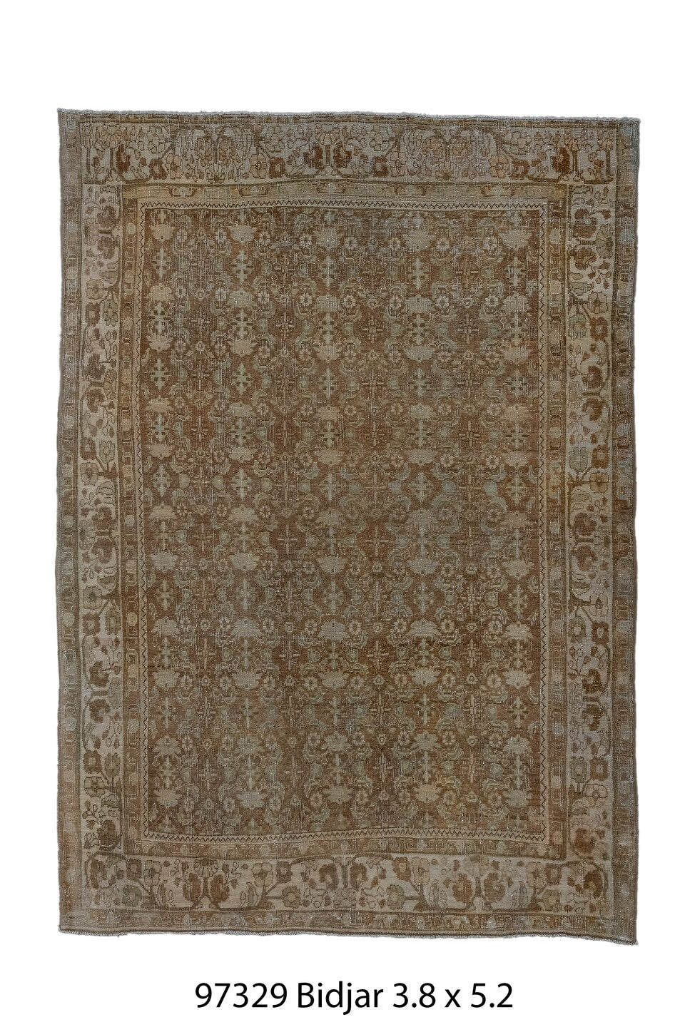 097329 Rug