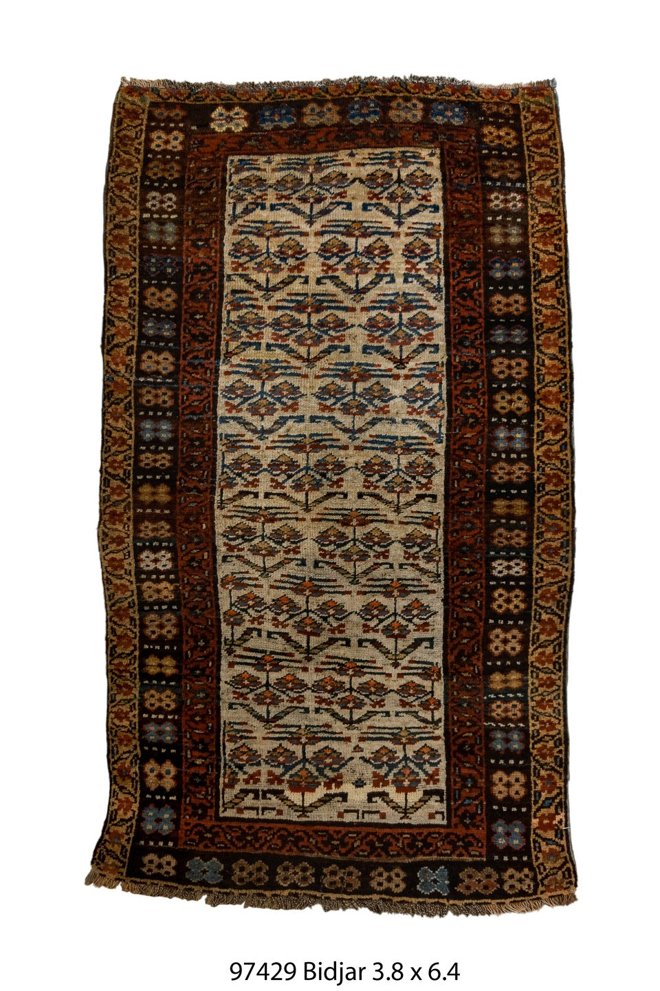 097429 Rug