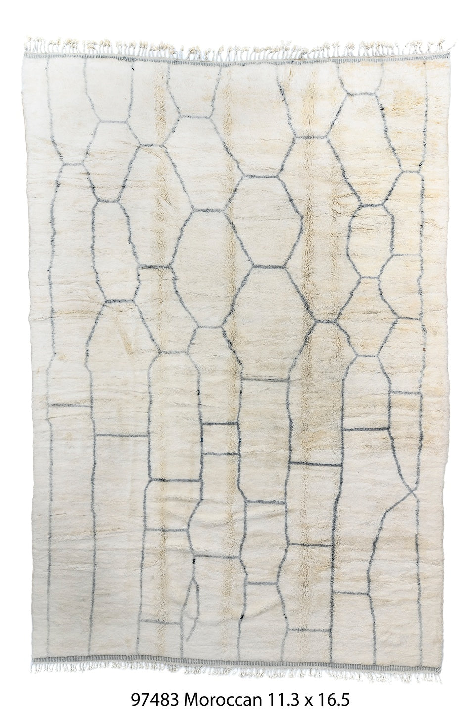 097483 Rug