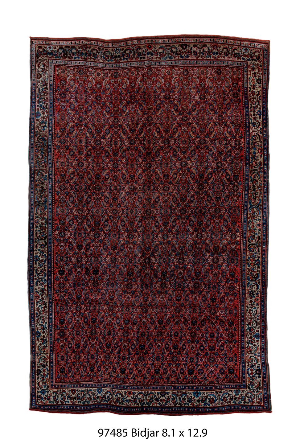 097485 Rug