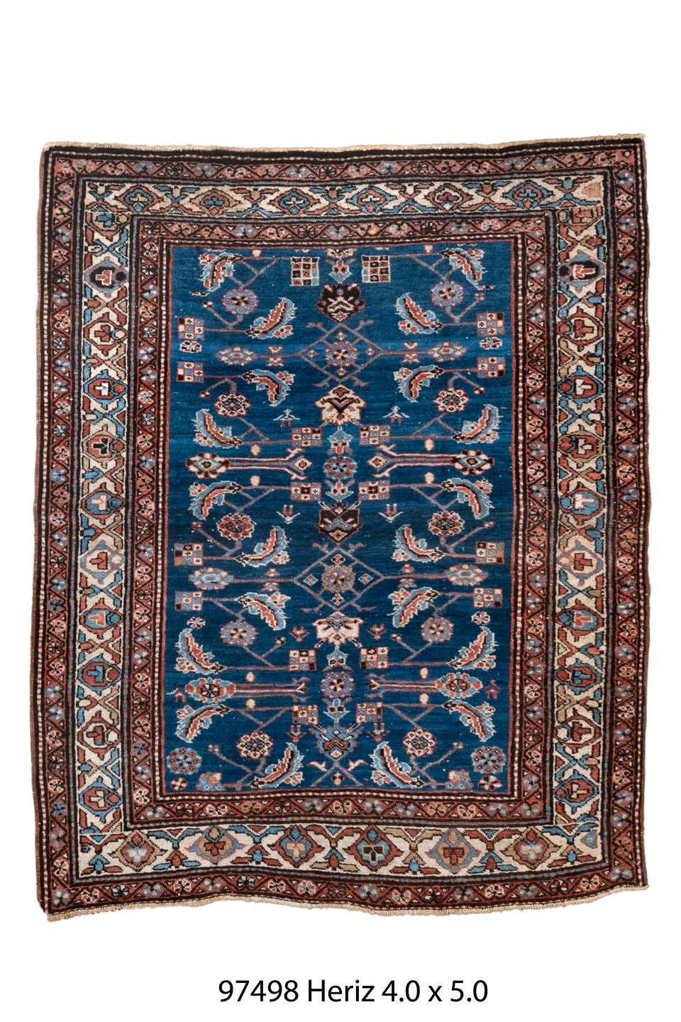 097498 Rug