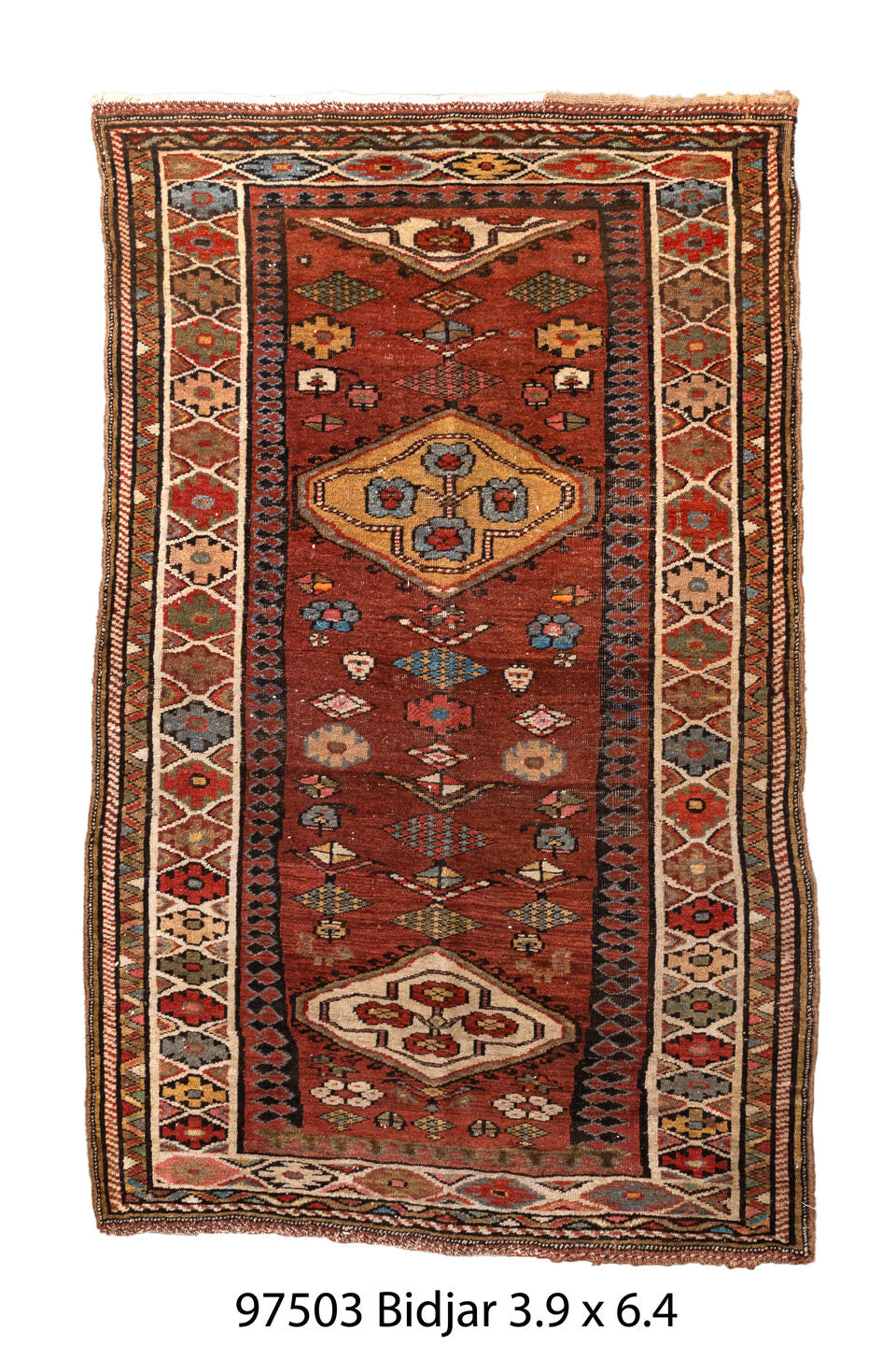 097503 Rug