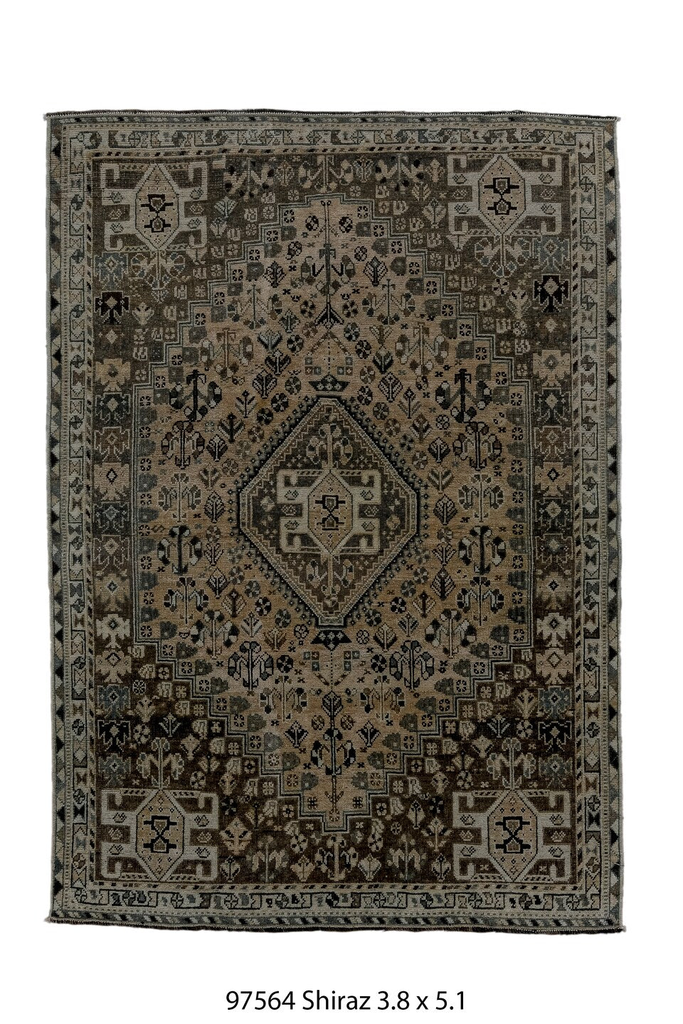 097564 Rug