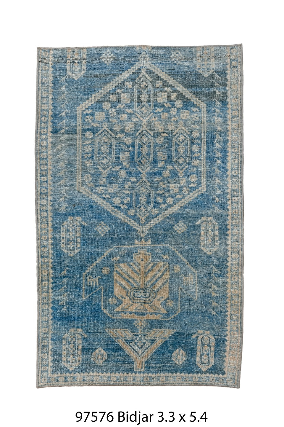 097576 Rug