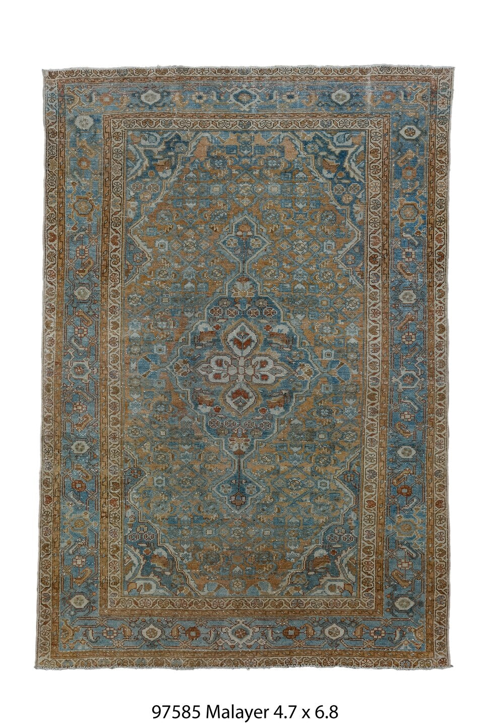 097585 Rug