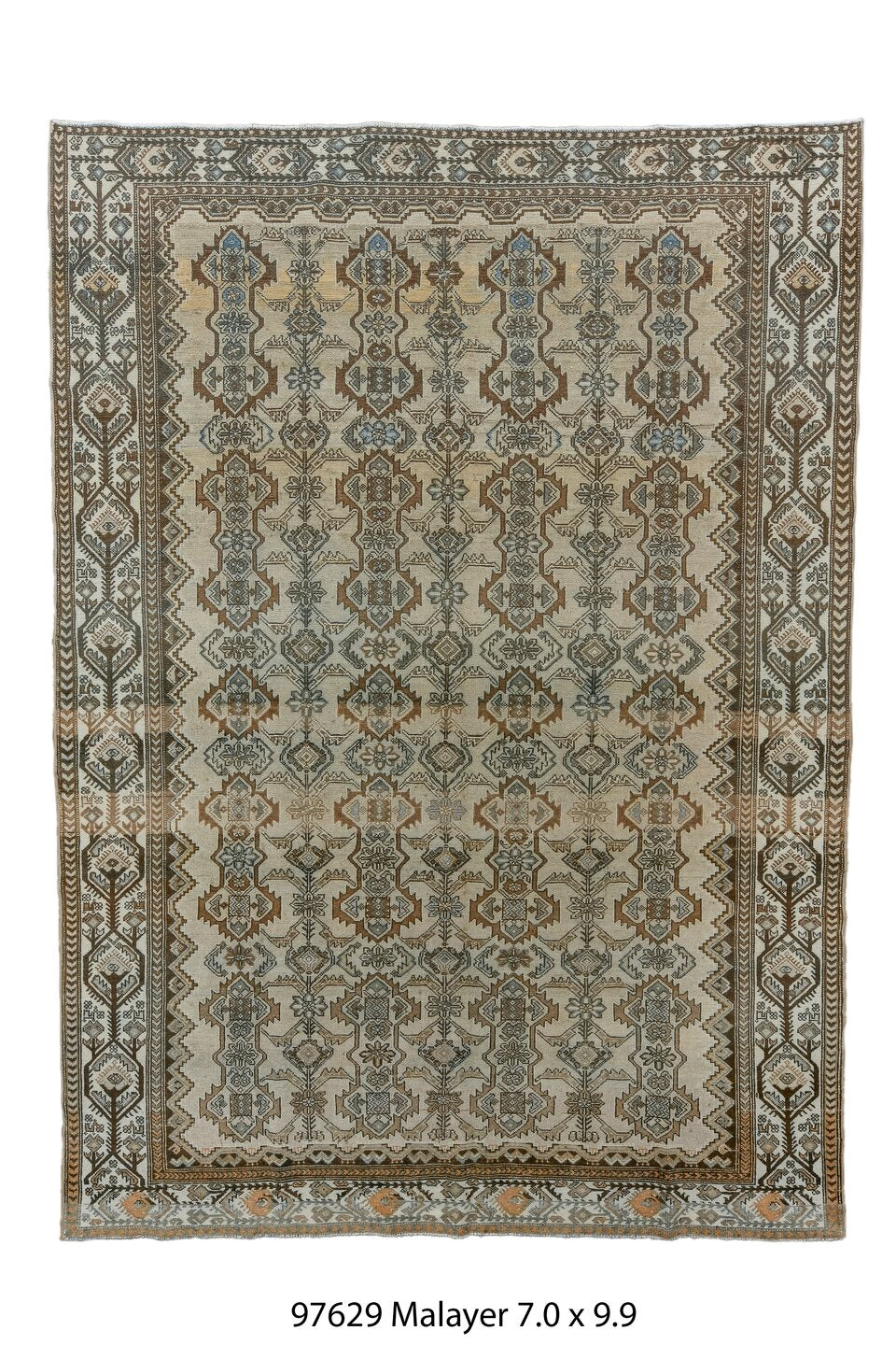 097629 Rug