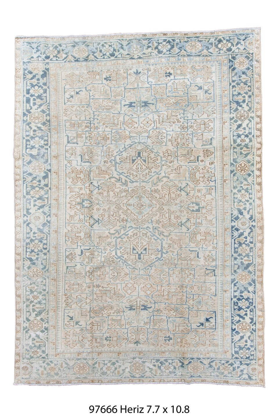 097666 Rug