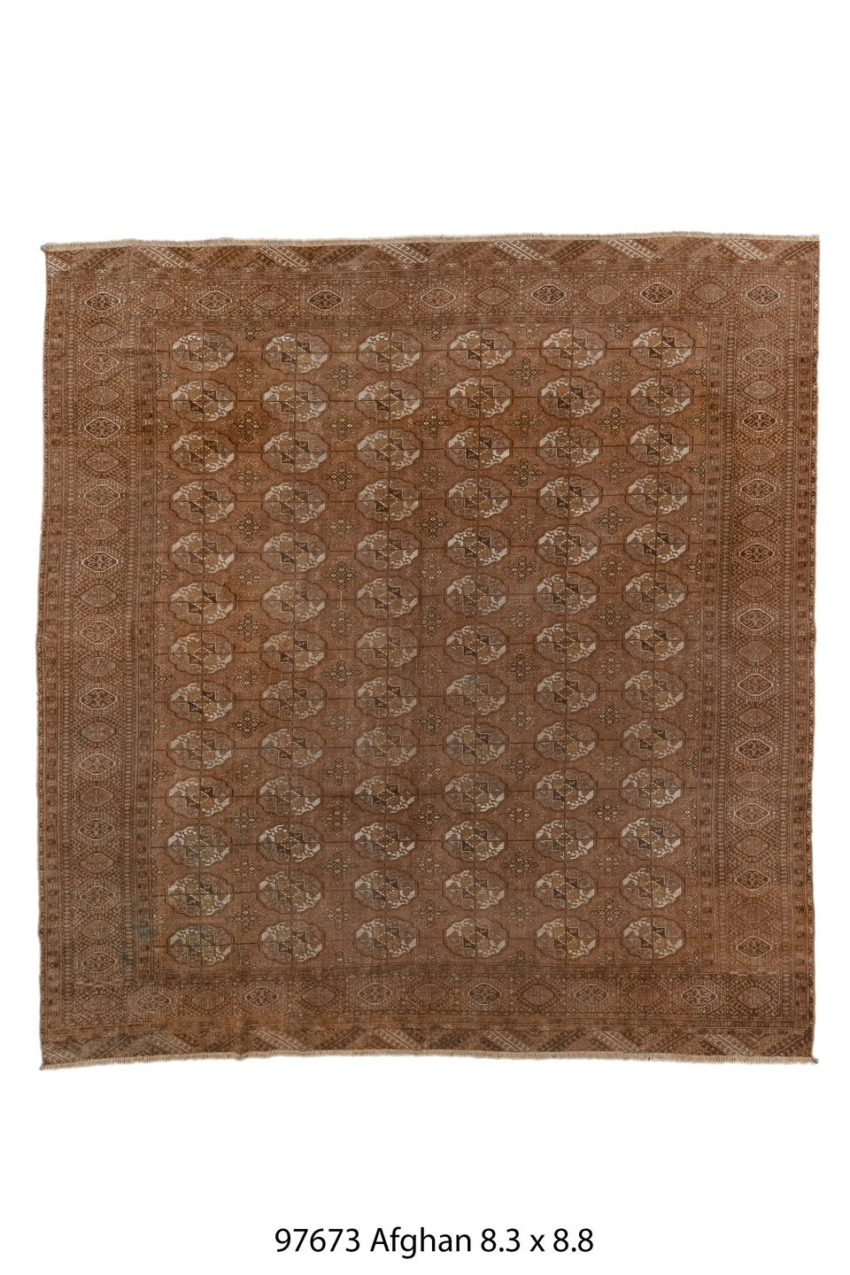 097673 Rug