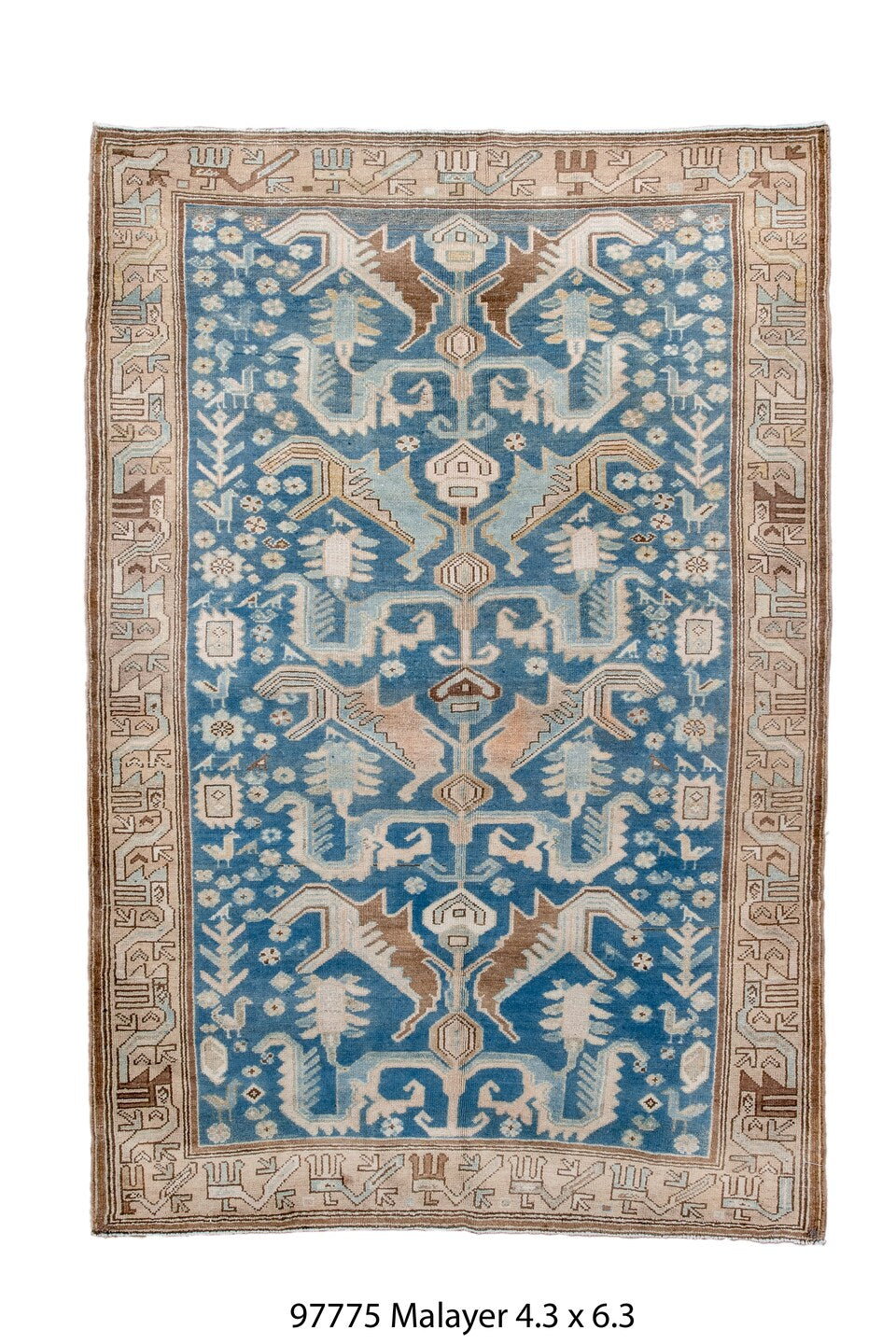 097775 Rug