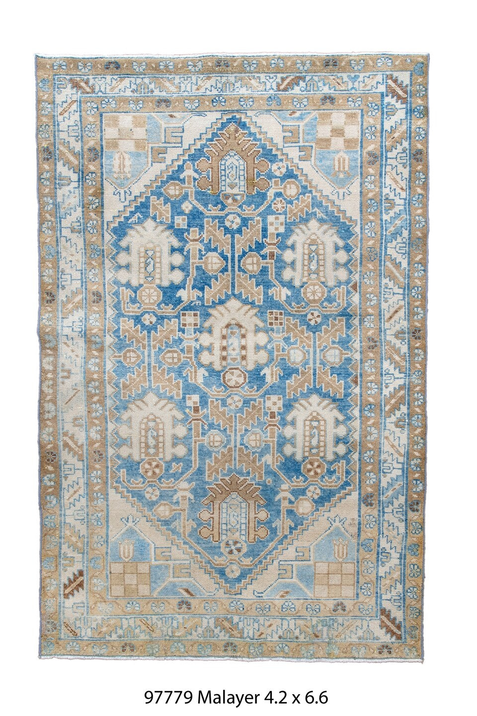 097779 Rug