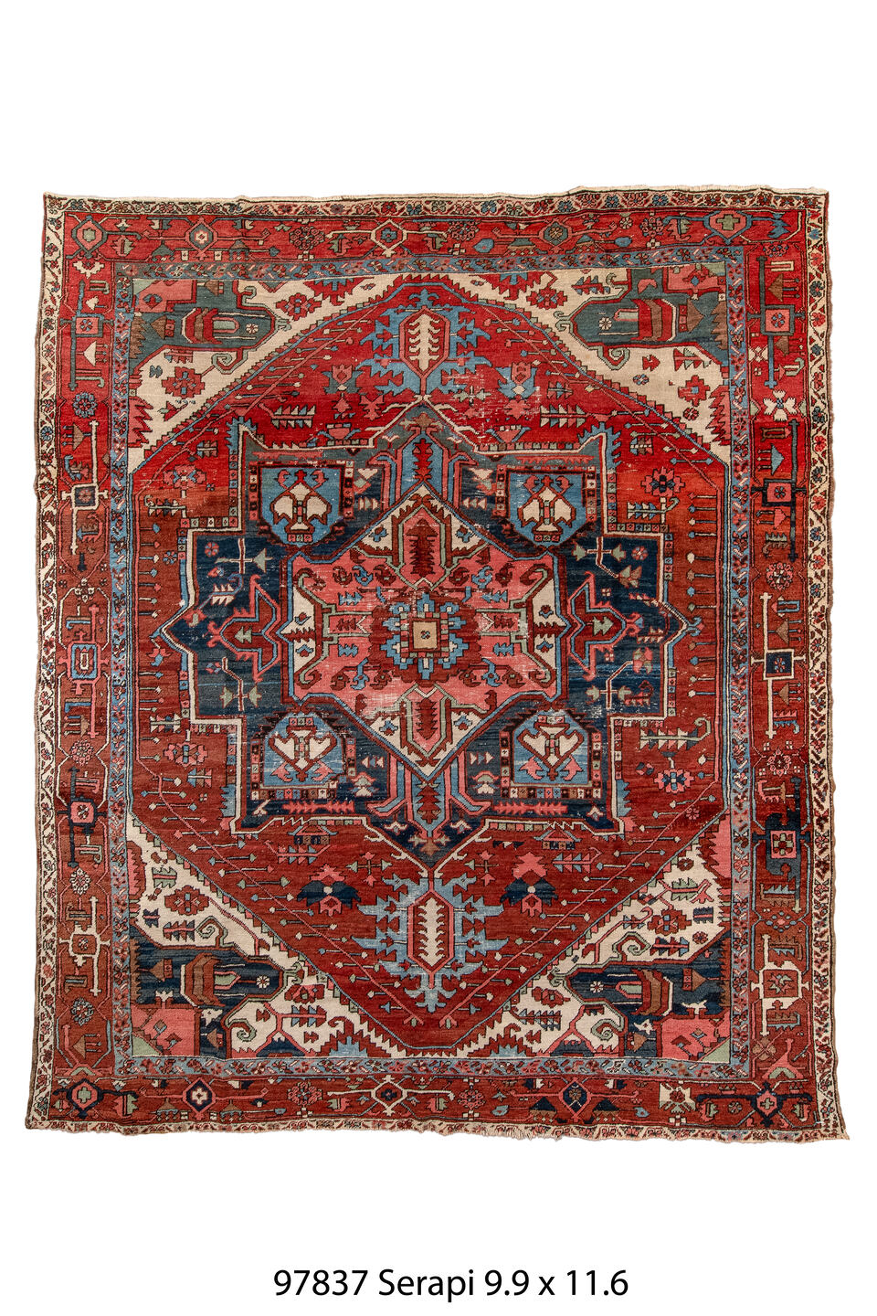 097837 Rug