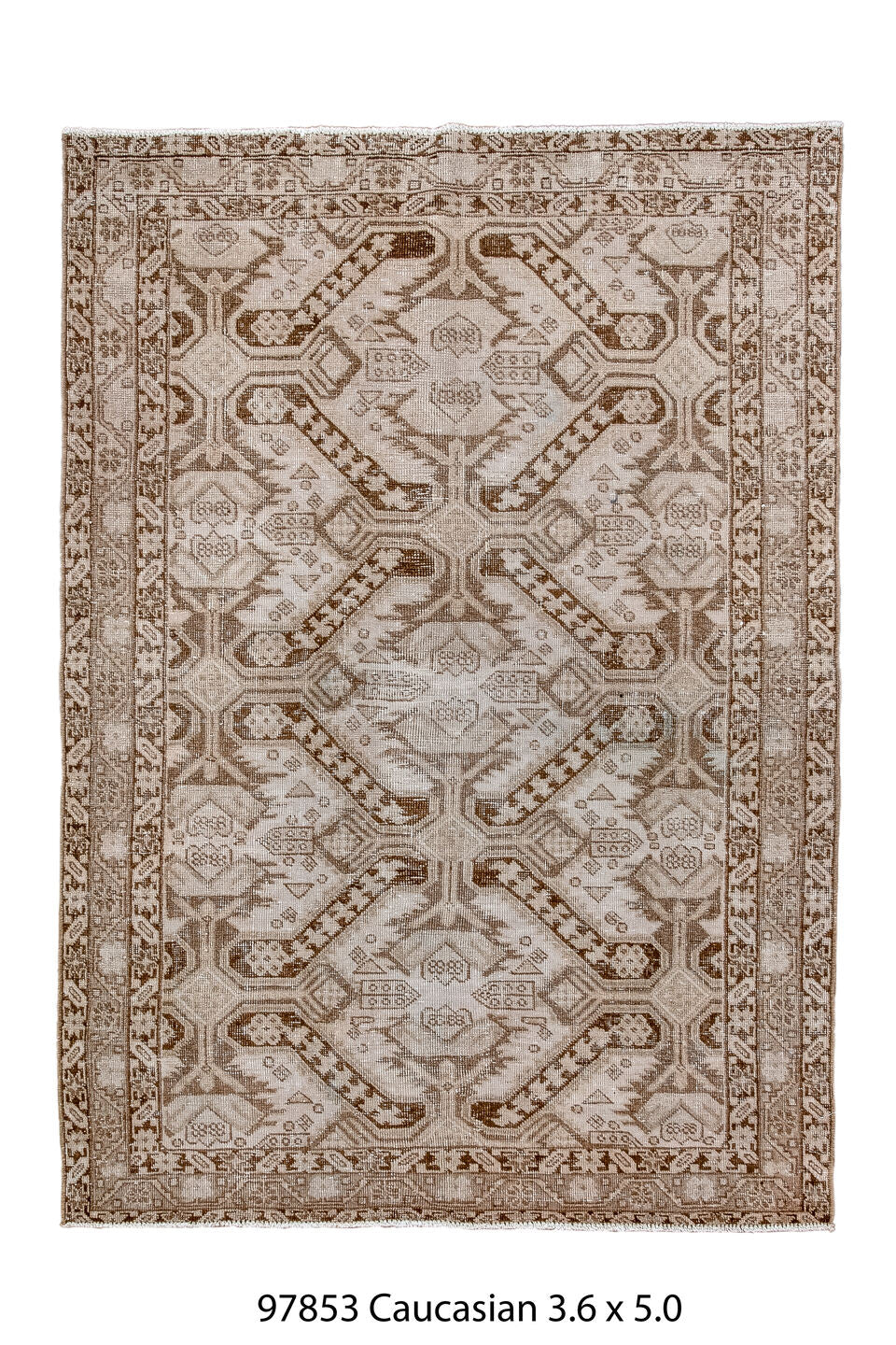 097853 Rug