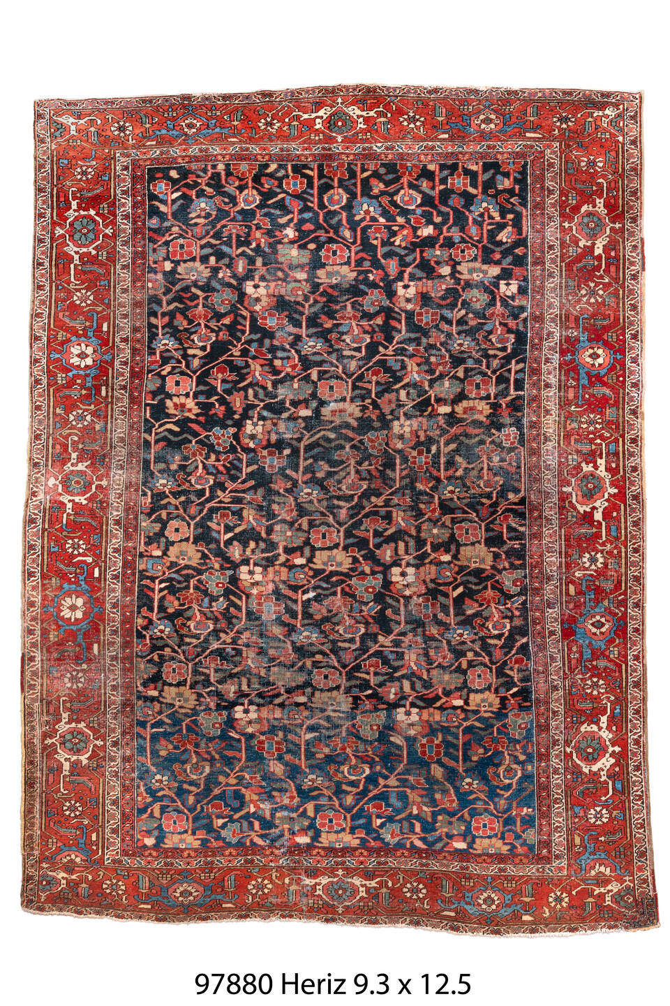 097880 Rug