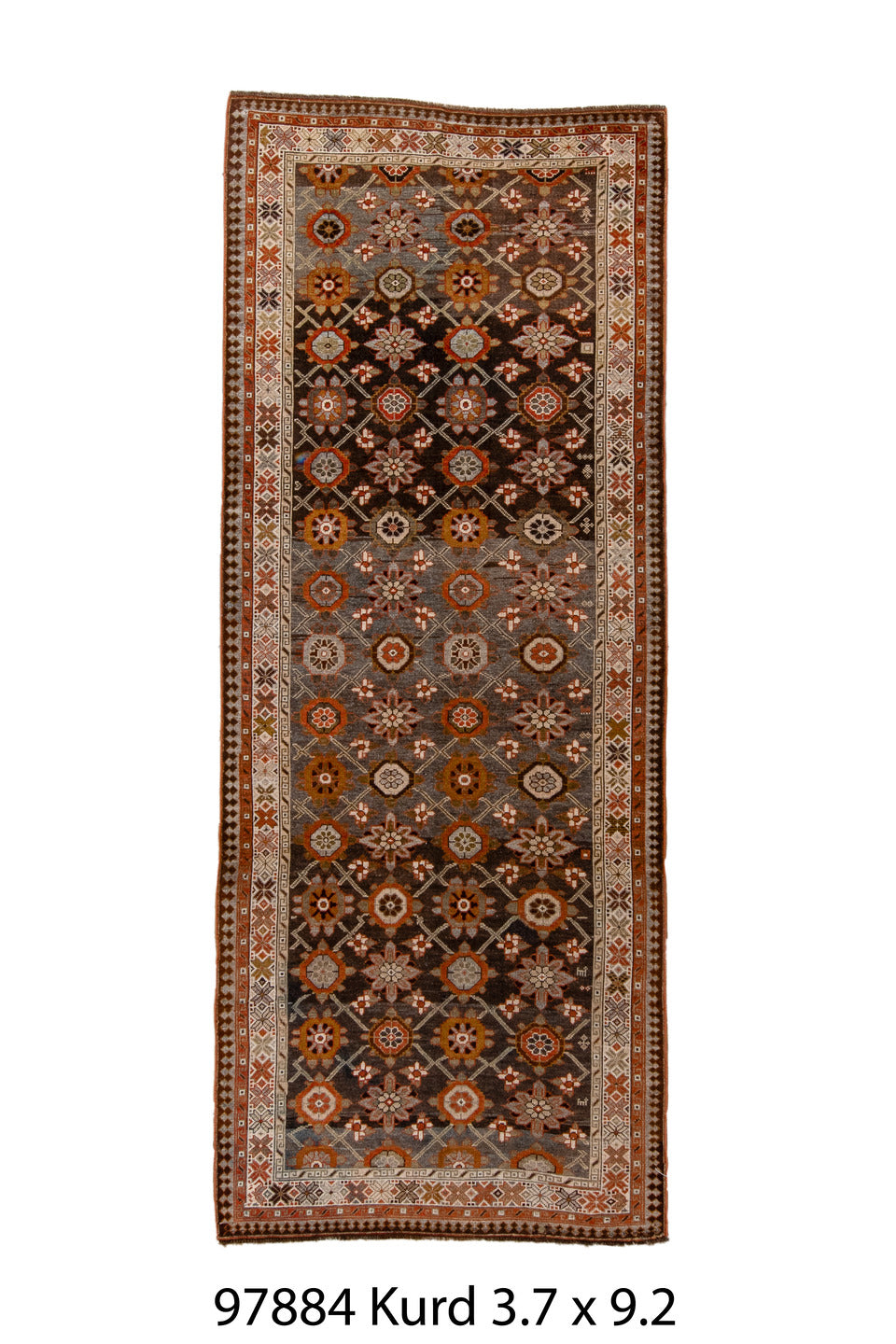 097884 Rug