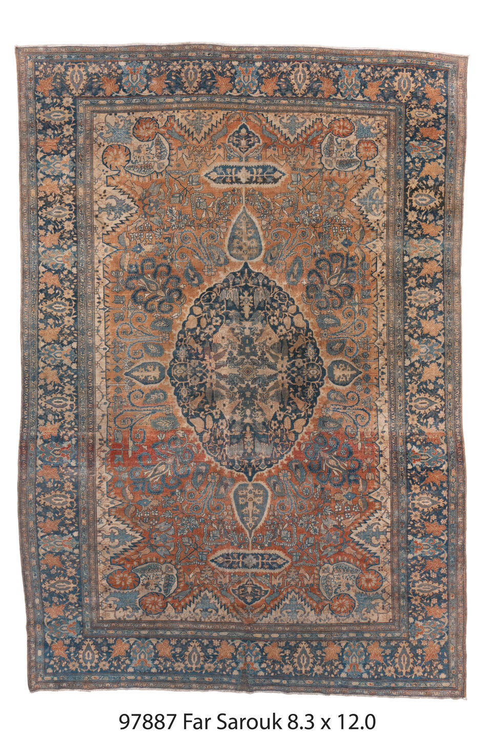097887 Rug