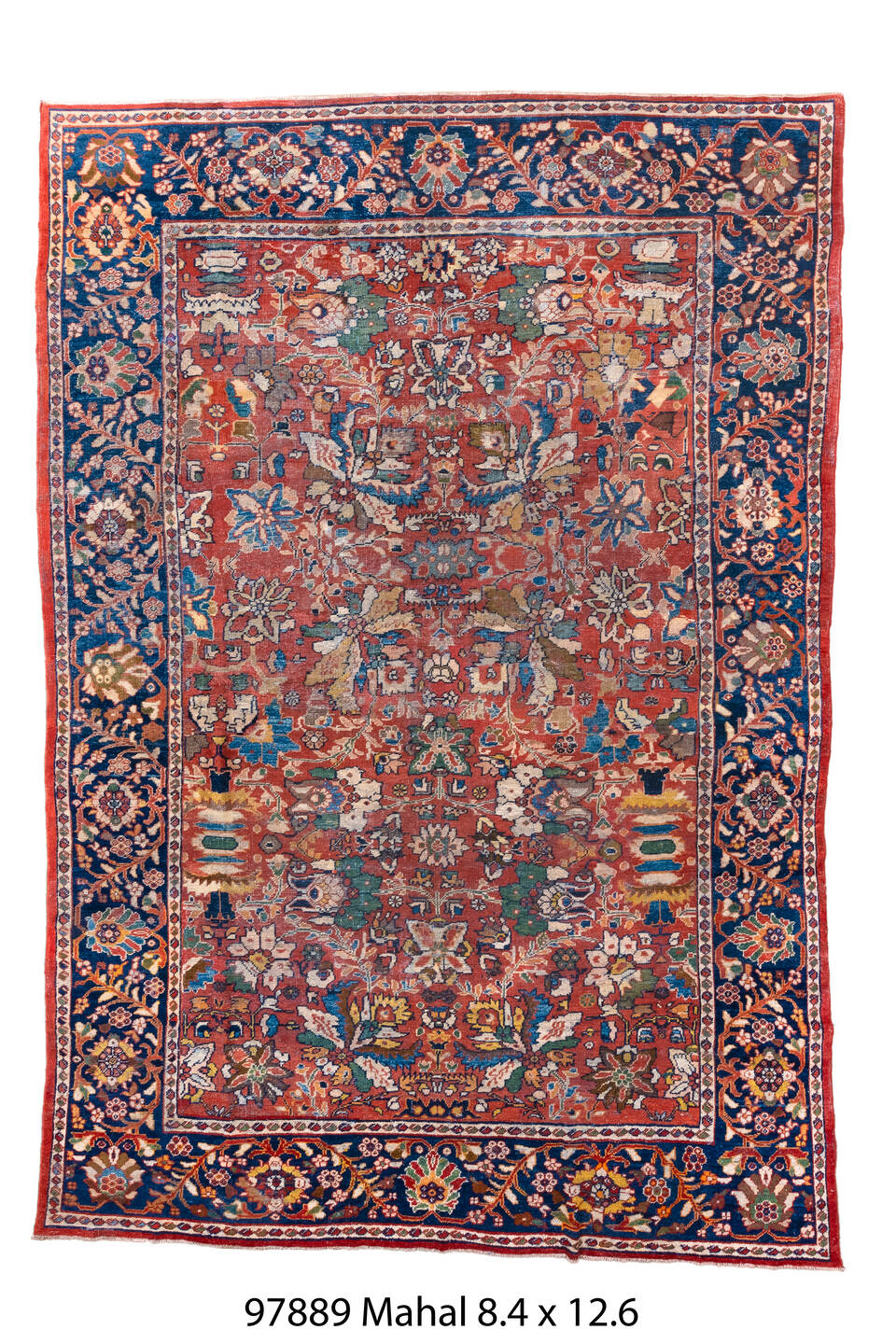 097889 Rug