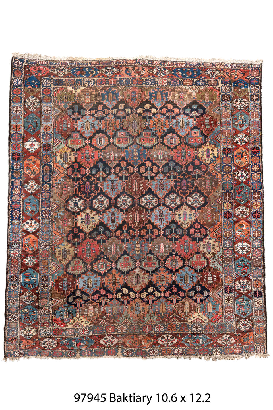 097945 Rug