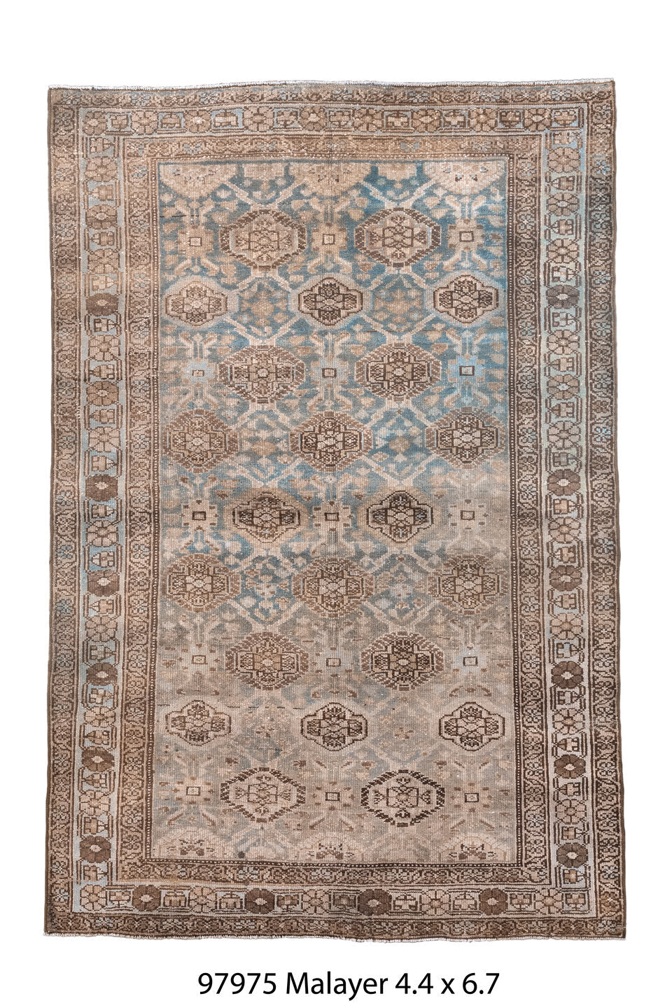 097975 Rug