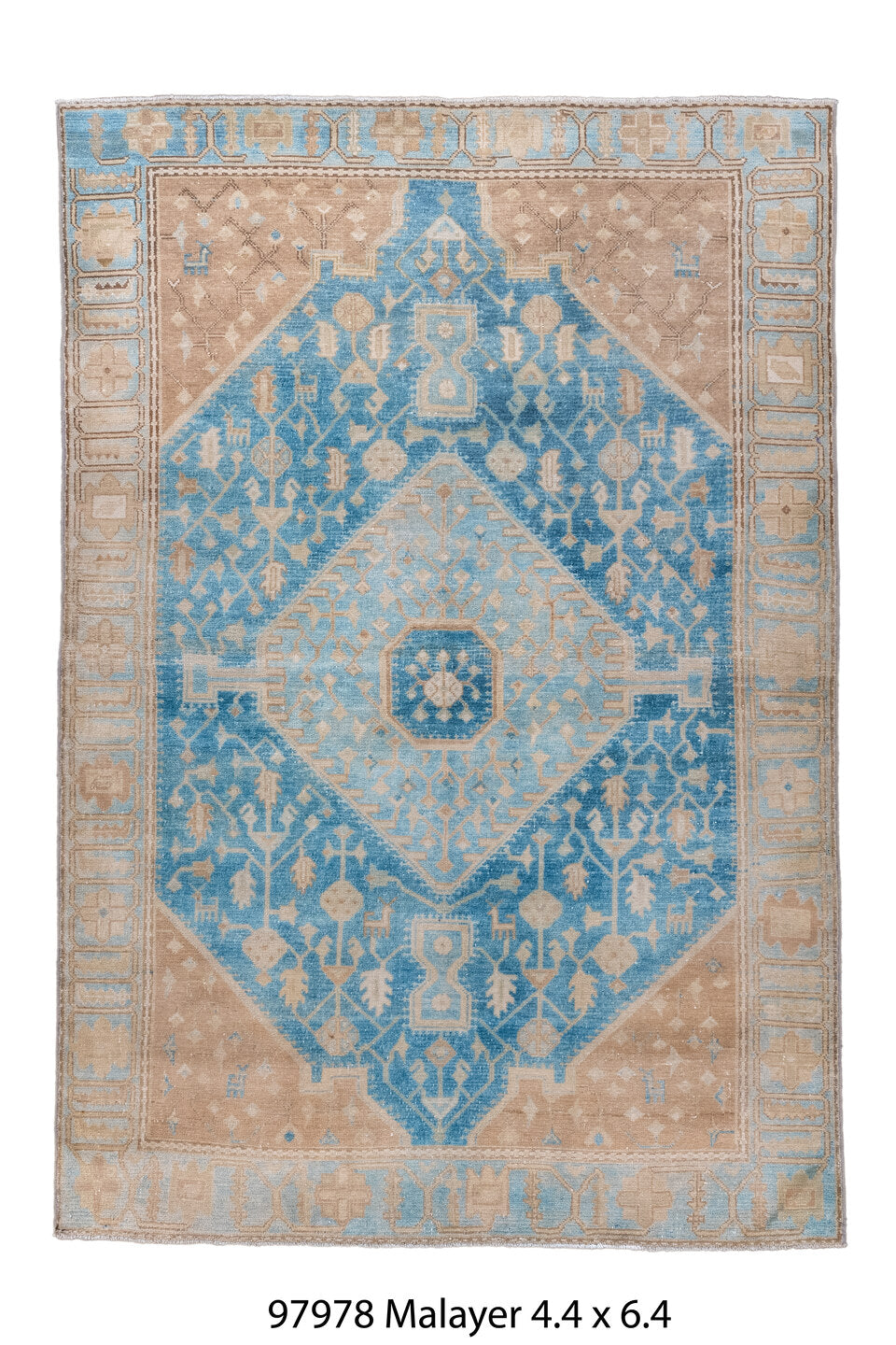 097978 Rug