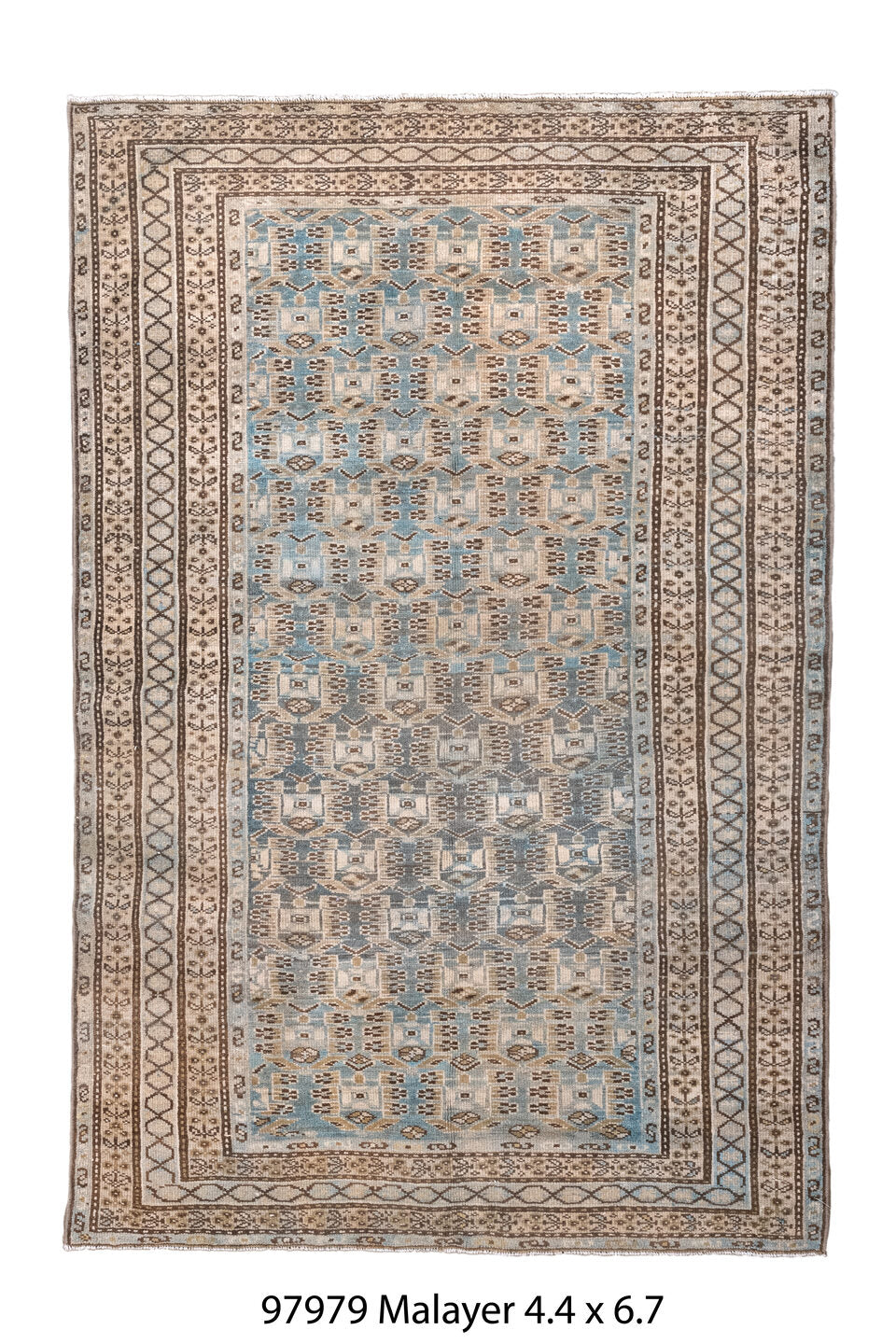 097979 Rug