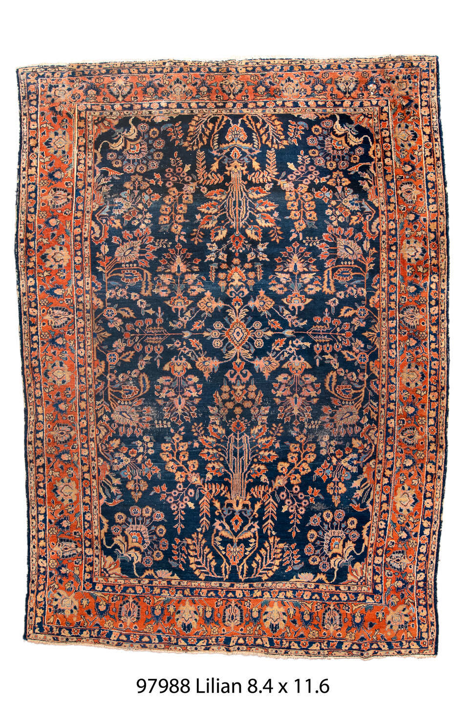 097988 Rug