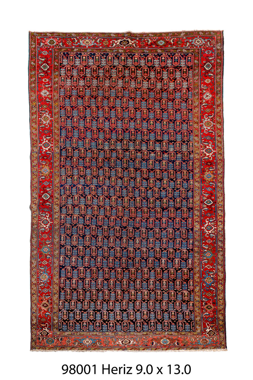 098001 Rug
