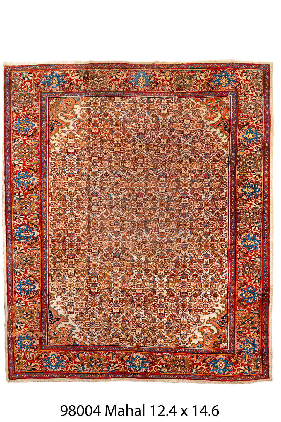 098004 Rug