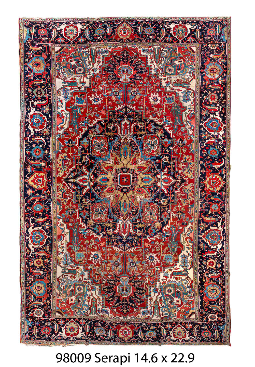 098009 Rug