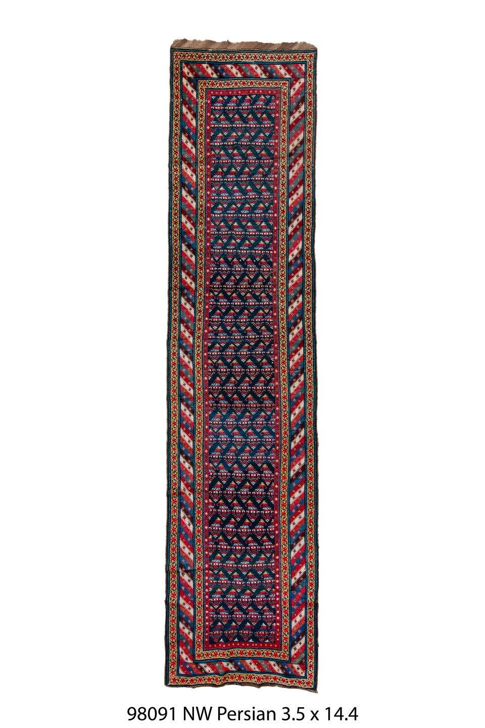 098091 Rug