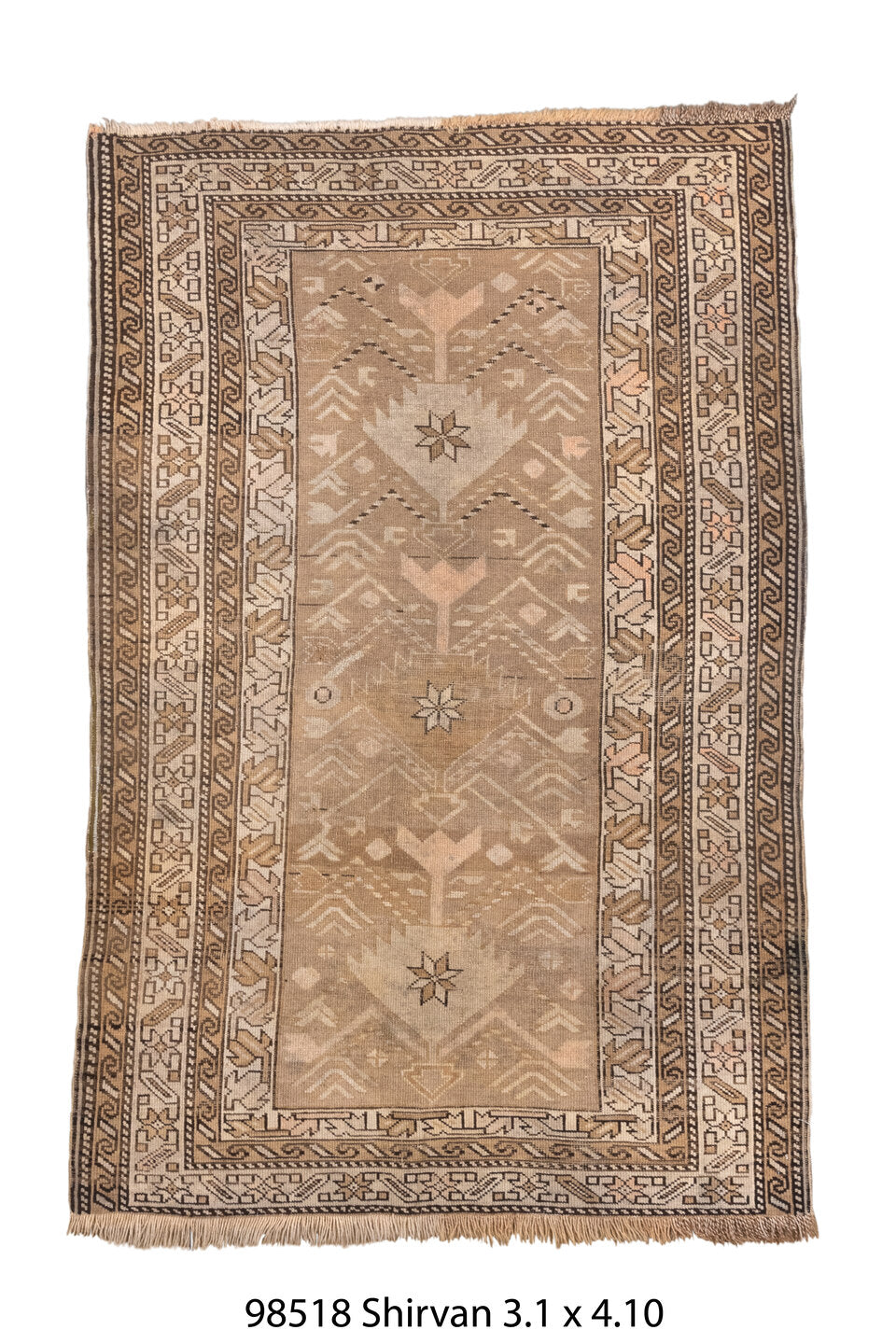098518 Rug