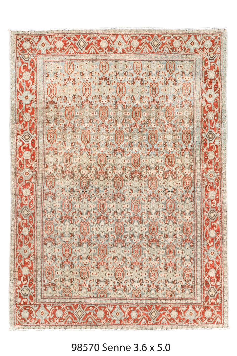 098570 Rug