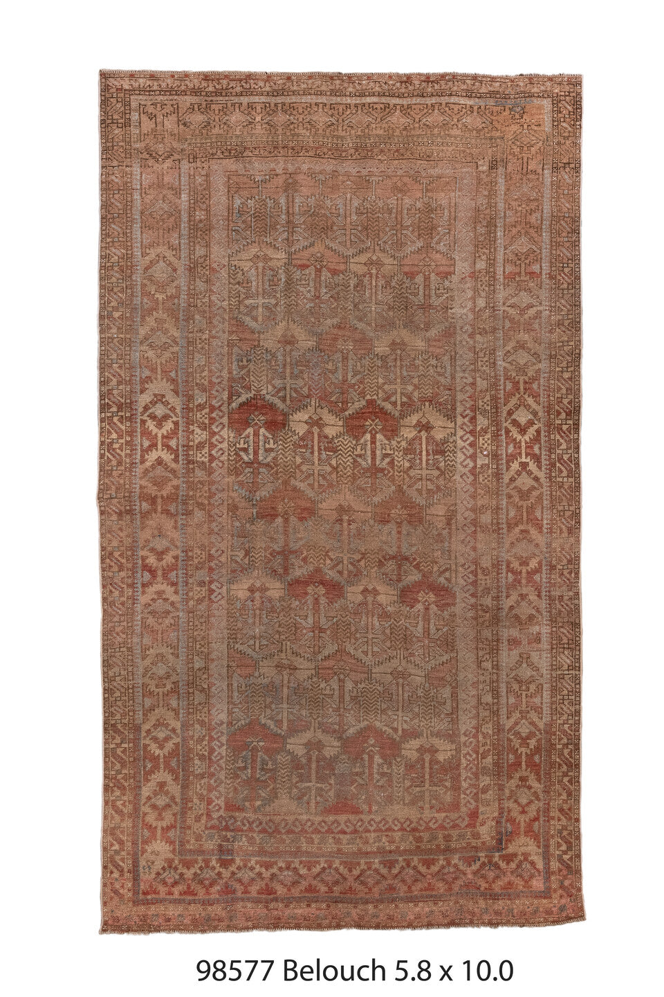 098577 Rug