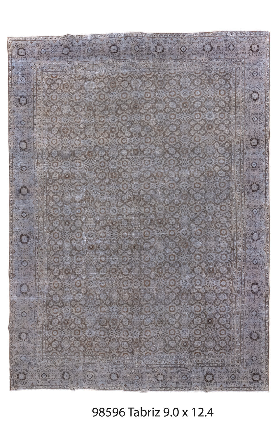 098596 Rug