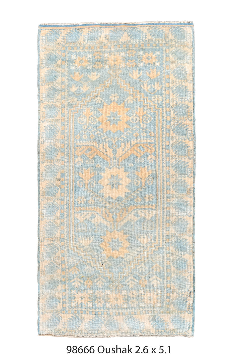 098666 Rug