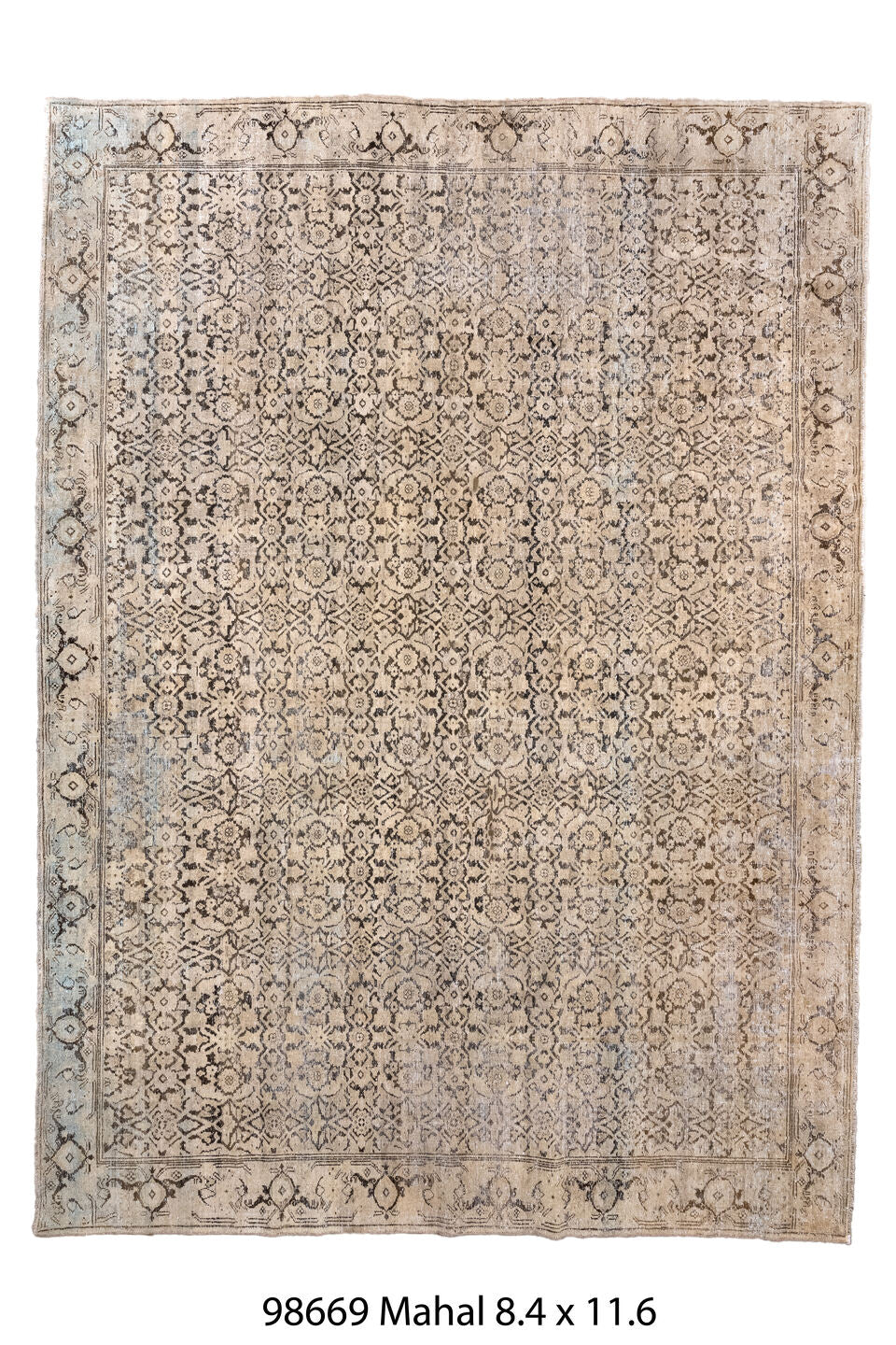 098669 Rug