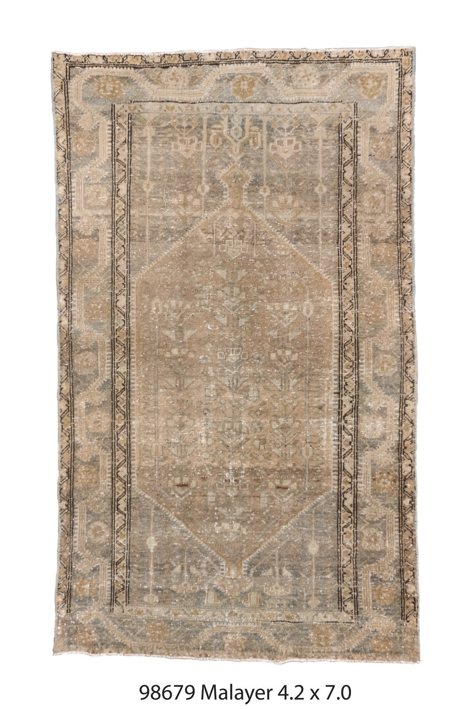 098679 Rug