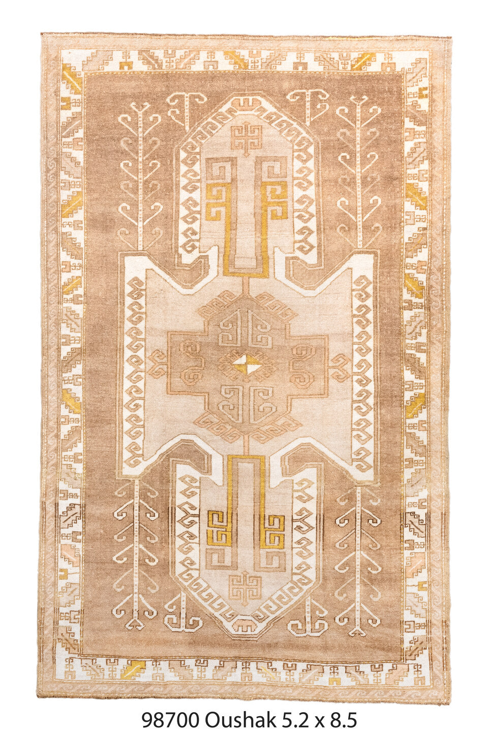 098700 Rug