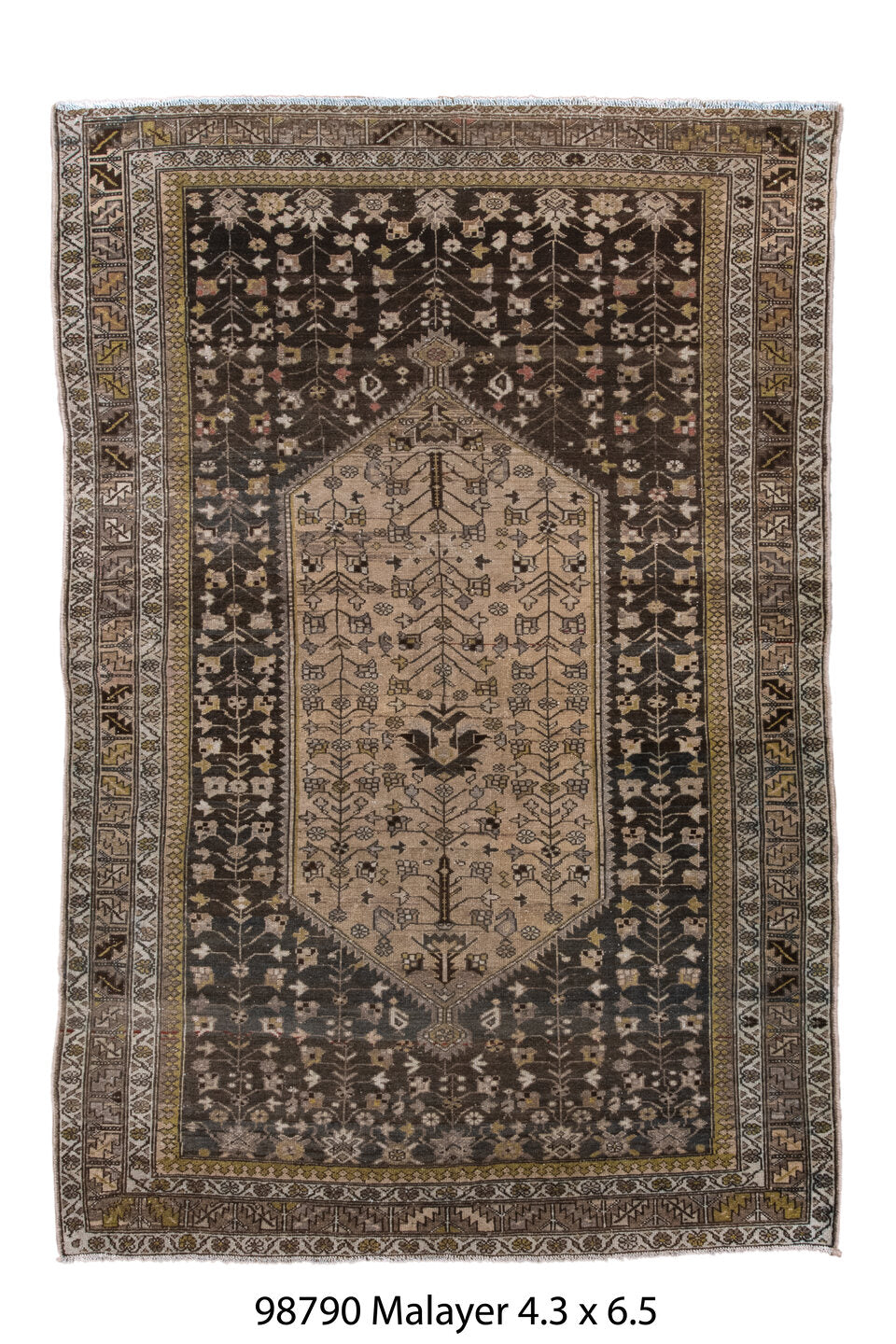 098790 Rug
