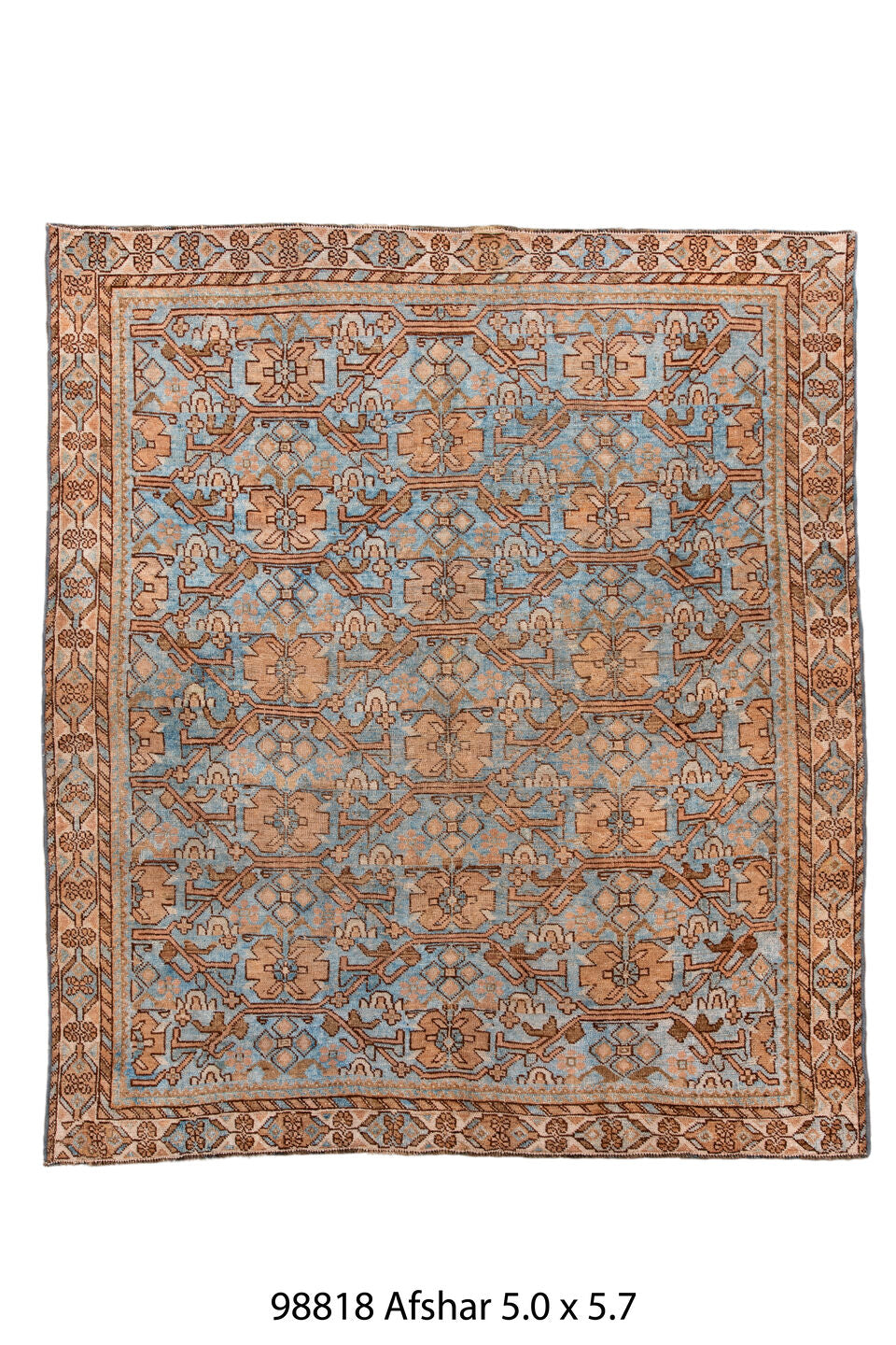 098818 Rug