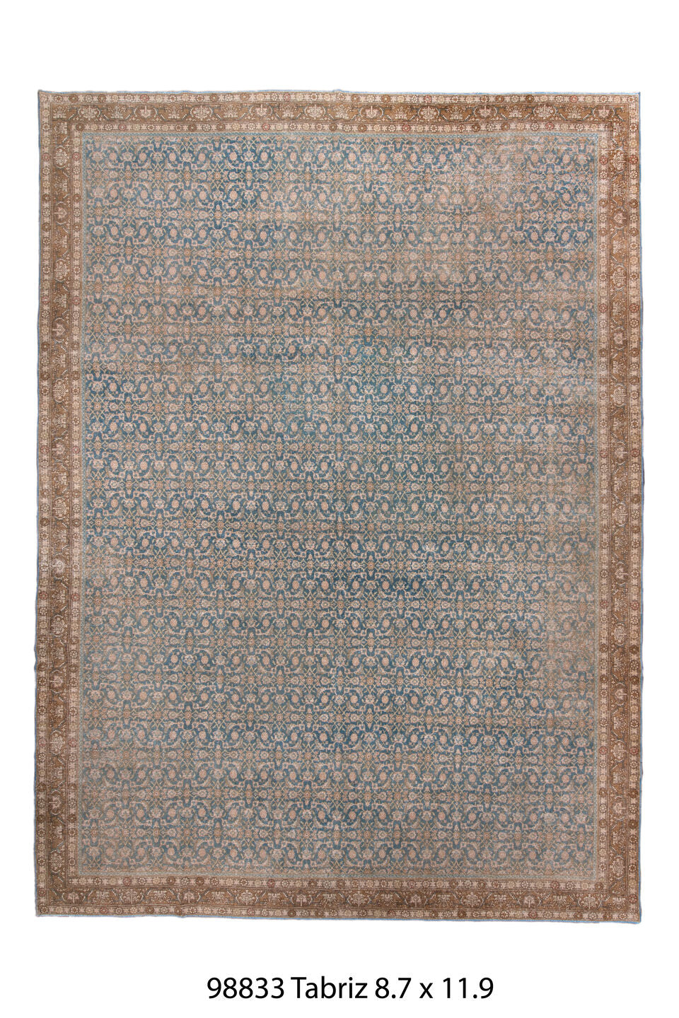 098833 Rug