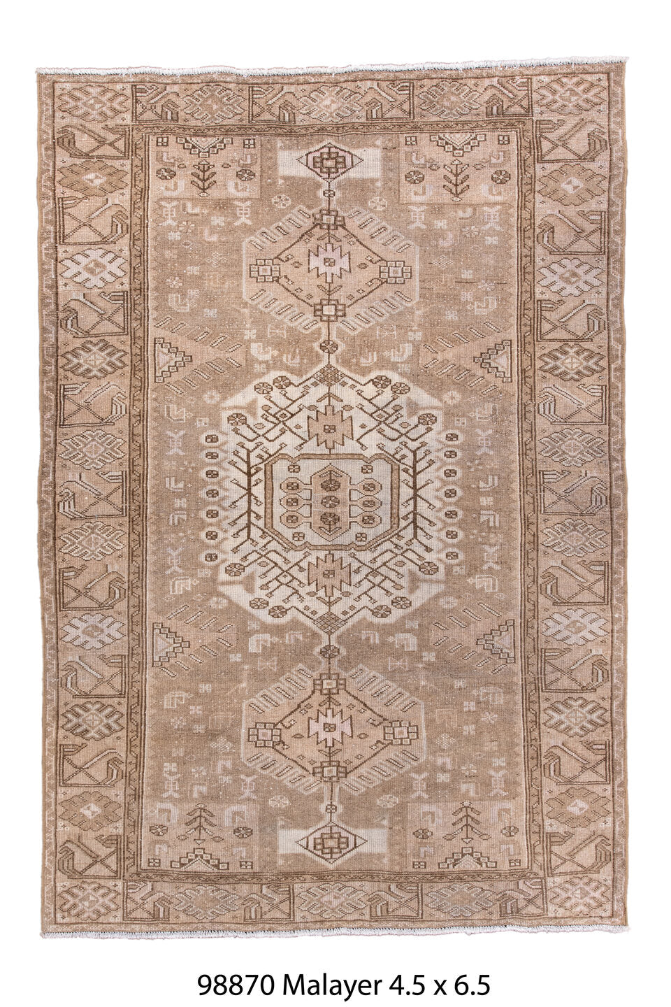 098870 Rug