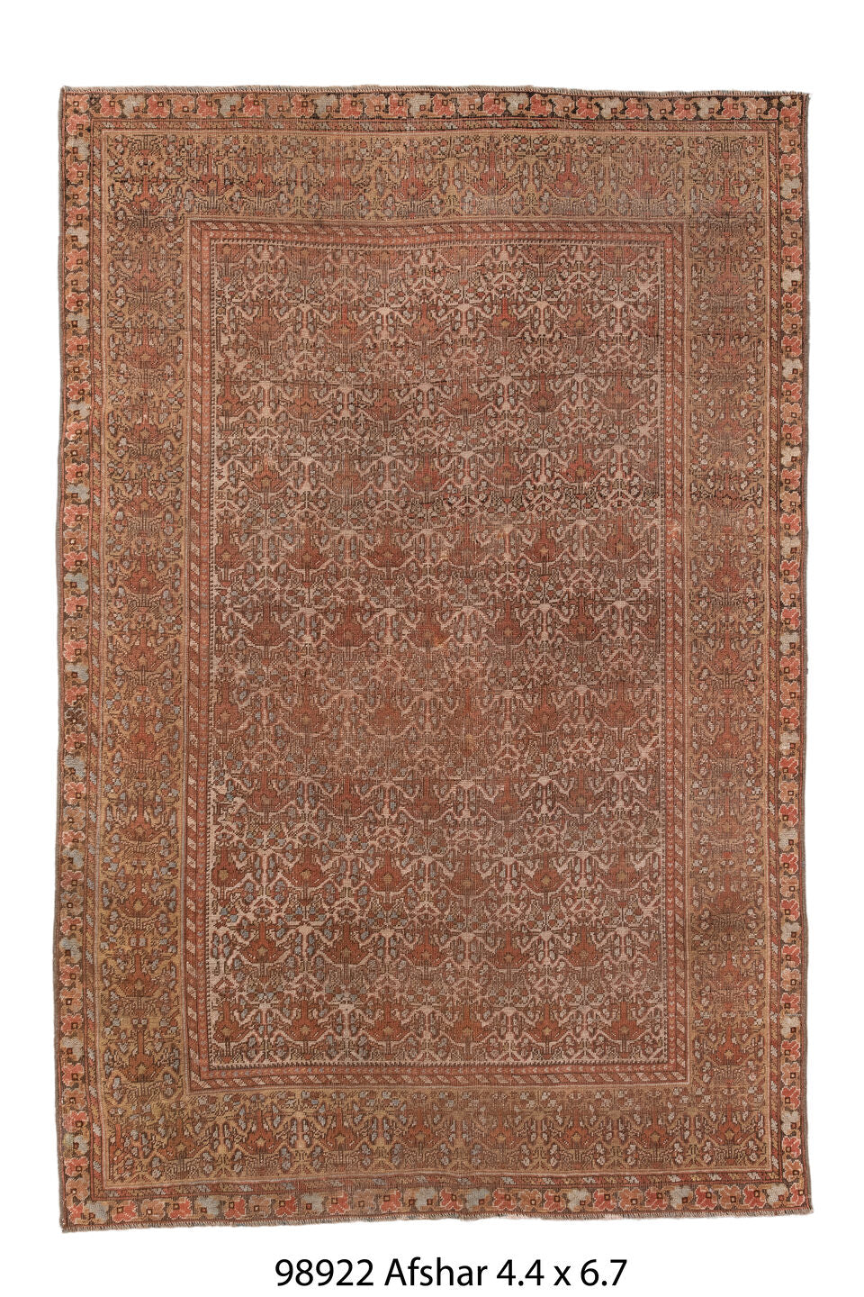 098922 Rug