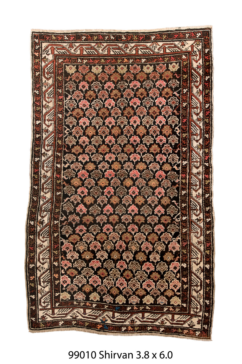099010 Rug
