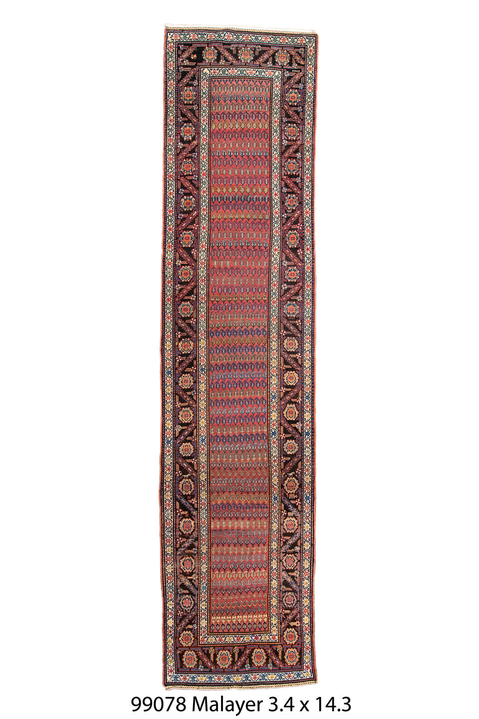 099078 Rug