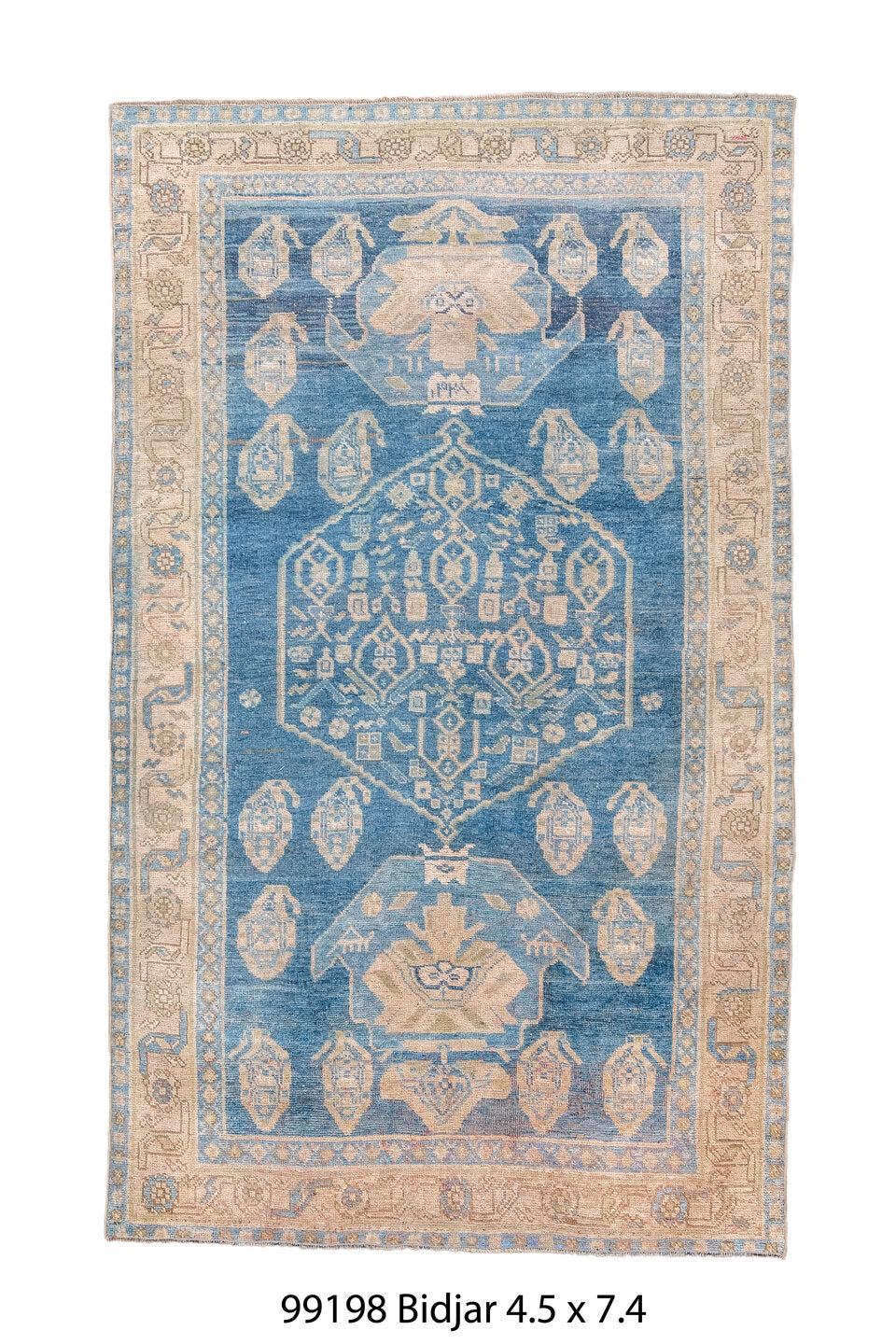 099198 Rug